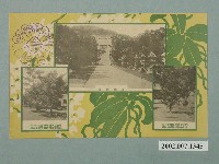 藏品(拜殿前景與皇族參拜植樹)的圖片