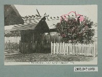 藏品(臺南神社社務所發行臺南神社本殿與皇太子殿下手植榕樹)的圖片