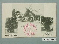 藏品(官幣中社臺南神社本殿及皇太子與北白川宮大妃殿下手植榕樹)的圖片