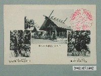 藏品(官幣中社臺南神社本殿及皇太子與北白川宮大妃殿下手植榕樹)的圖片