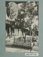 藏品(開山神社社務所發行開山神社延平郡王鄭成功遺愛之梅)的圖片