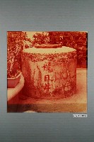 藏品(龍目井)的圖片