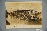 藏品(臺南安平海岸大道風光)的圖片