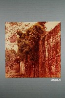 藏品(臺南安平古壁一隅)的圖片