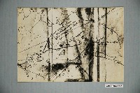 藏品(西元1625年安平及赤嵌之古地圖（影印版）)的圖片