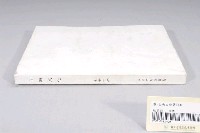 藏品(臺南市政府發行《臺南文化》新廿一期)的圖片