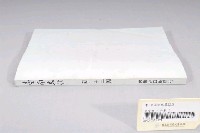 藏品(臺南市政府發行《臺南文化》新二十二期)的圖片