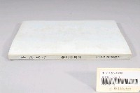 藏品(臺南市政府發行《臺南文化》新二十三期)的圖片