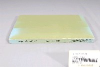 藏品(臺南市政府發行《臺南文化》新二十四期)的圖片