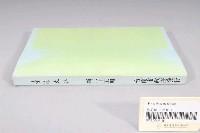 藏品(臺南市政府發行《臺南文化》新二十五期)的圖片