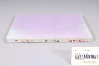 藏品(臺南市政府發行《臺南文化》新二十八期)的圖片