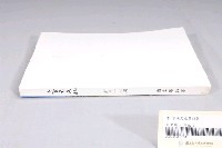 藏品(臺南市政府發行《臺南文化》新三十三期)的圖片