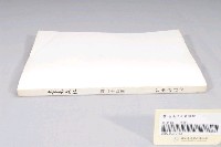 藏品(臺南市政府發行《臺南文化》新三十四期)的圖片