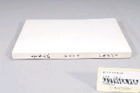 藏品(臺南市政府發行《臺南文化》新三十五期)的圖片