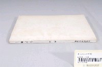 藏品(臺南市政府發行《臺南文化》新三期)的圖片