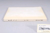 藏品(臺南市政府發行《臺南文化》新七期)的圖片