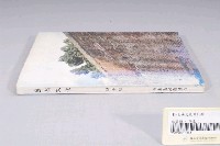 藏品(臺南市政府發行《臺南文化》新十期)的圖片