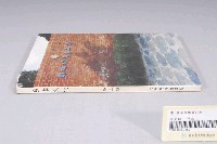 藏品(臺南市政府發行《臺南文化》新十一期)的圖片