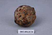 藏品(清代鐵製小砲彈)的圖片