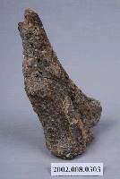 藏品(水牛左側尺橈骨近端化石)的圖片