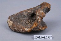 藏品(水牛環椎化石)的圖片