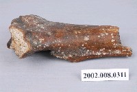藏品(水牛右側尺橈骨近端化石)的圖片