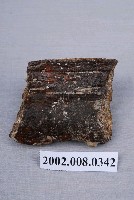 藏品(龜鱉背甲化石)的圖片