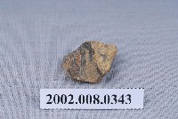 藏品(石燕化石)的圖片