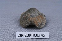 藏品(石燕化石)的圖片