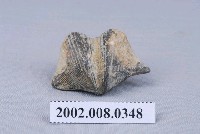 藏品(石燕化石)的圖片