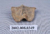 藏品(石燕化石)的圖片