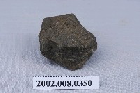 藏品(三葉蟲化石)的圖片