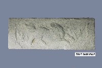 藏品(石雕板)的圖片