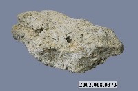 藏品(老古石)的圖片