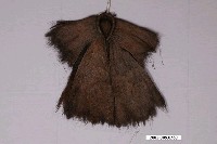 藏品(簑衣)的圖片