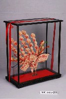 藏品(紙鈔孔雀)的圖片