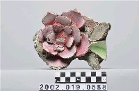 藏品(善教堂剪黏花)的圖片