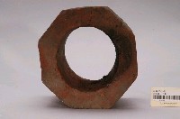 藏品(大灶囪櫃)的圖片