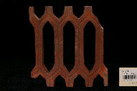 藏品(柳條磚)的圖片