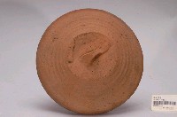 藏品(紅陶素燒蓋子)的圖片