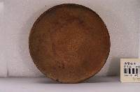 藏品(夾砂陶油燈碟)的圖片