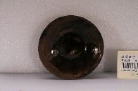 藏品(褐釉灰陶油燈碟)的圖片