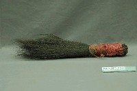 藏品(鬃毛刷)的圖片