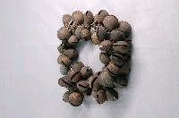 藏品(牛鈴)的圖片