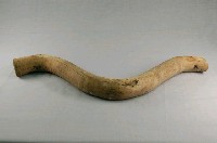 藏品(木製牛軛)的圖片