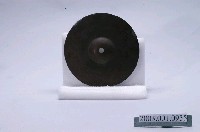藏品(銅製鈸)的圖片