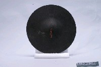 藏品(銅製鈸)的圖片