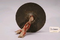 藏品(銅製鈸)的圖片