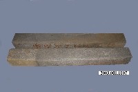 藏品(方柱組)的圖片