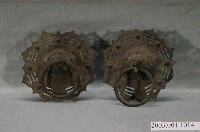 藏品(門環組)的圖片